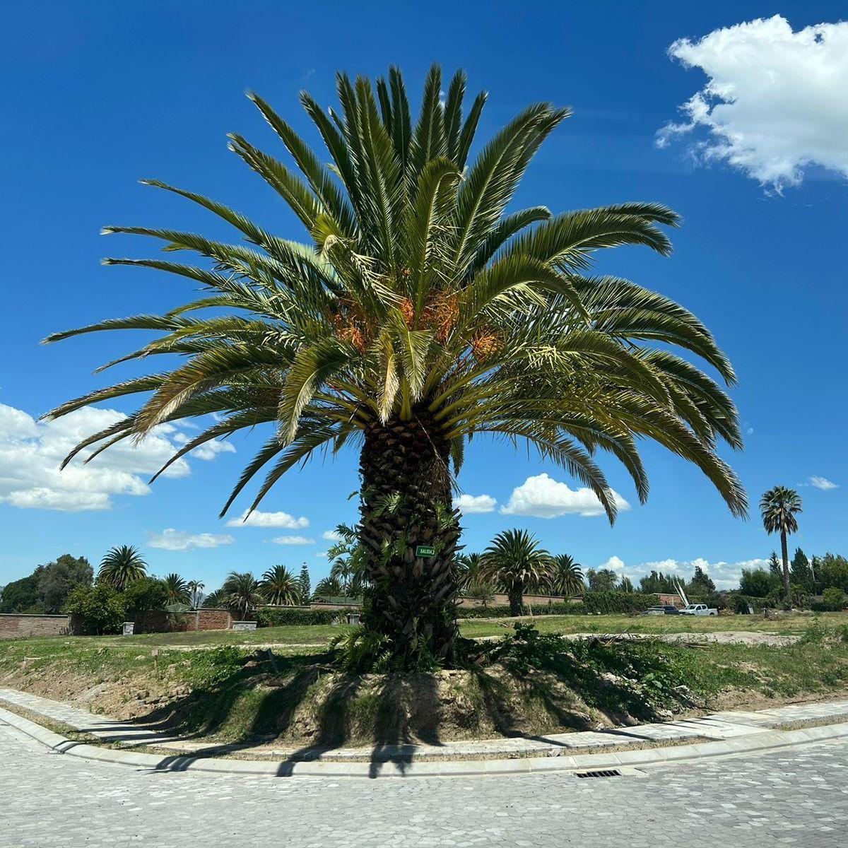 Terreno en venta en Quito, Pichincha