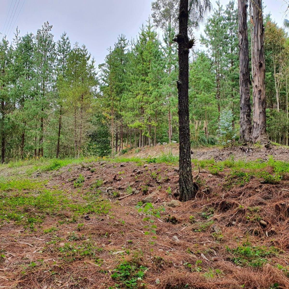 Terreno en venta en Cuenca, Azuay