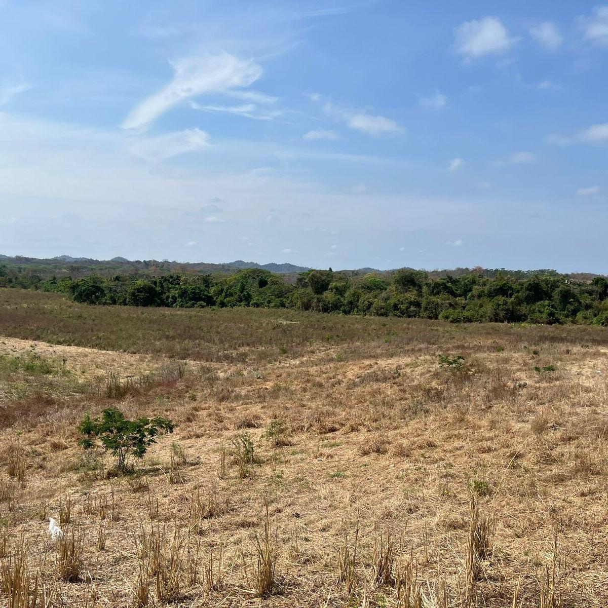 Terreno en venta en Guayaquil, Guayas