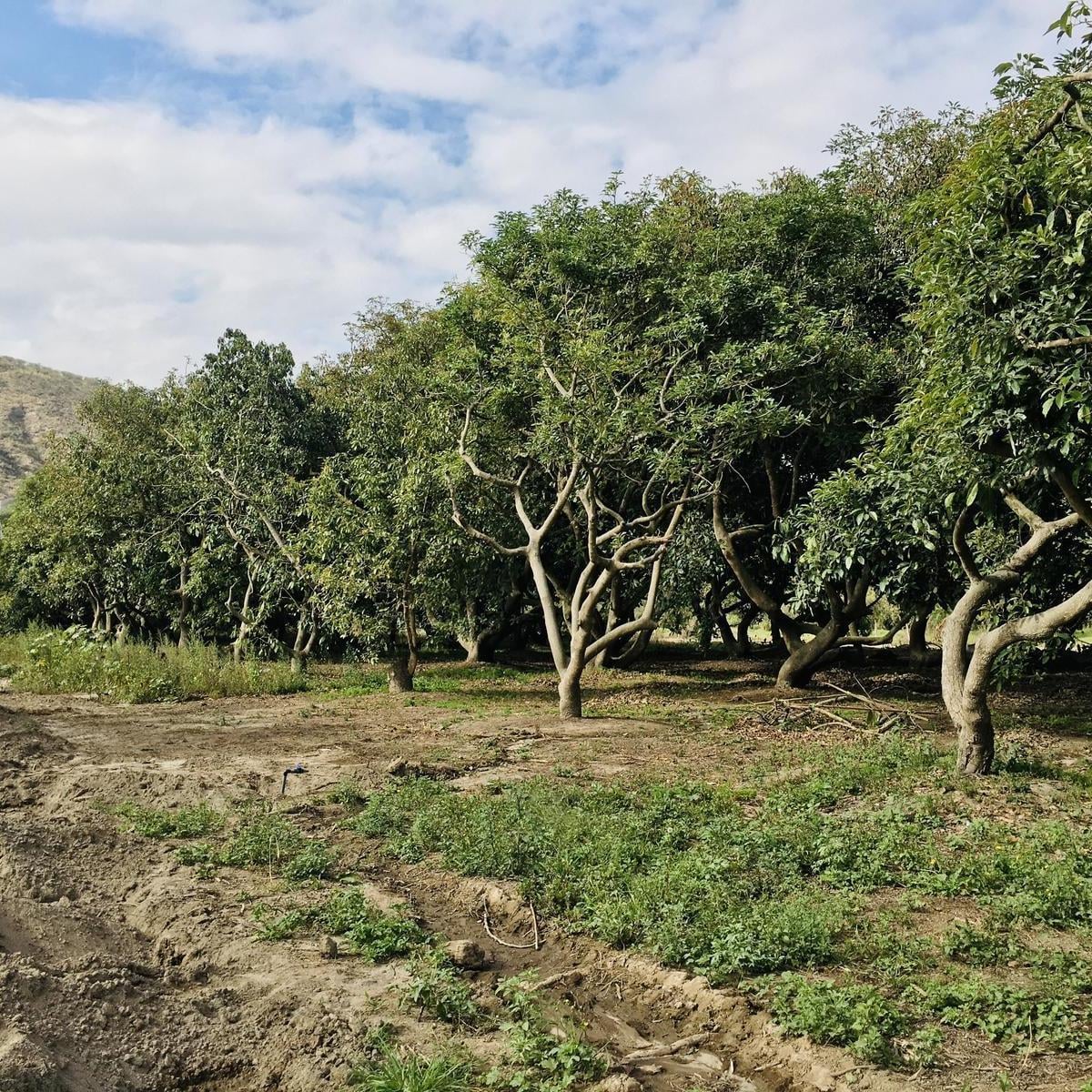 Terreno en venta en Quito, Pichincha