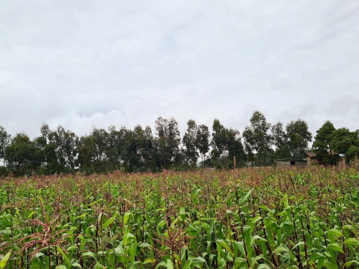 Terreno en venta en Pedro Vicente Maldonado, Pichincha