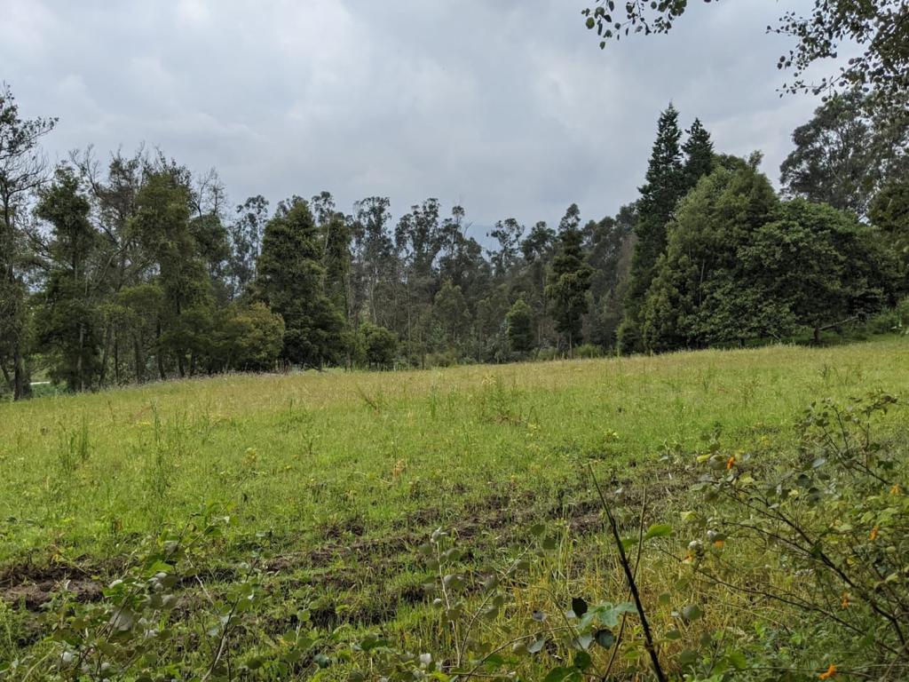 Terreno en venta en Quito, Pichincha