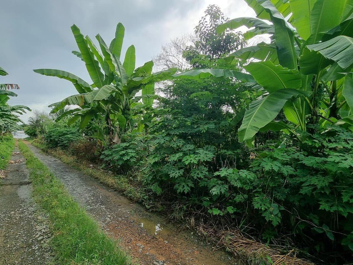 Terreno en venta en Milagro, Guayas
