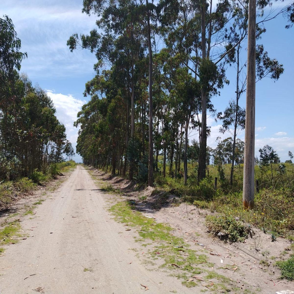 Terreno en venta en Quito, Pichincha