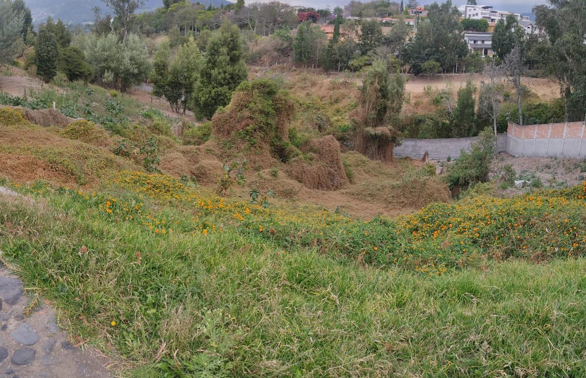 Terreno en venta en Quito, Pichincha