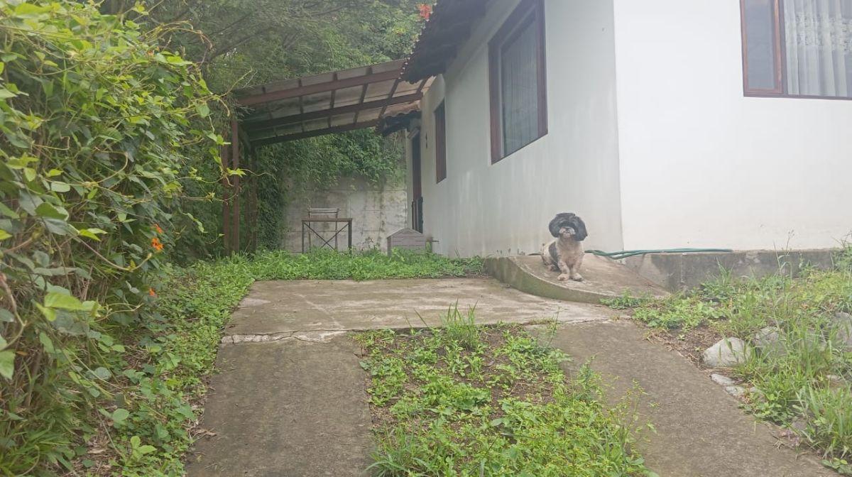 Casa en venta en Quito, Pichincha