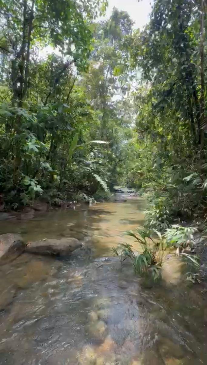 Terreno en venta en Pedro Vicente Maldonado, Pichincha