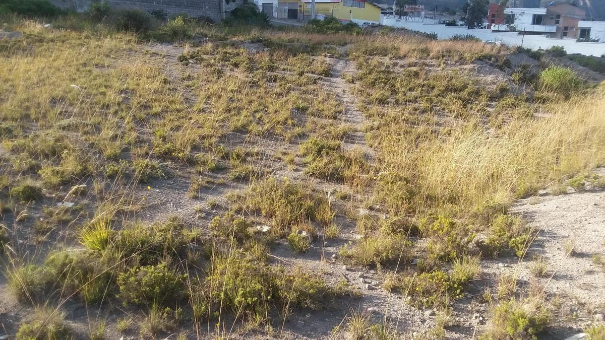 Terreno en venta en Quito, Pichincha