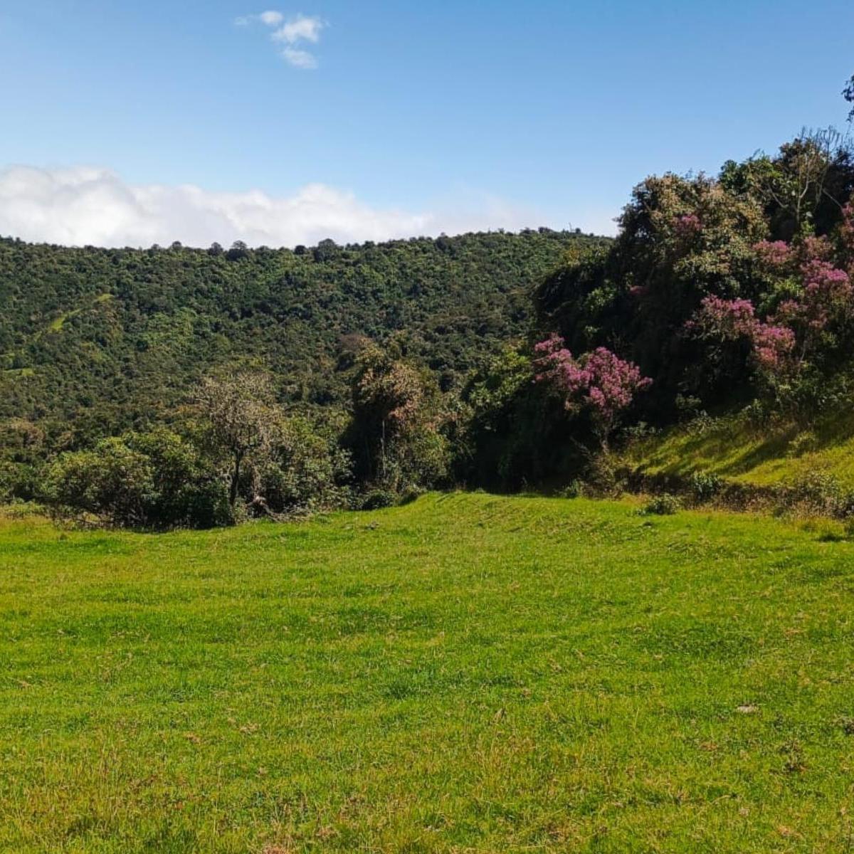 Terreno en venta en Quito, Pichincha