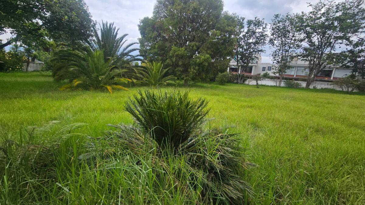 Terreno en alquiler en Quito, Pichincha
