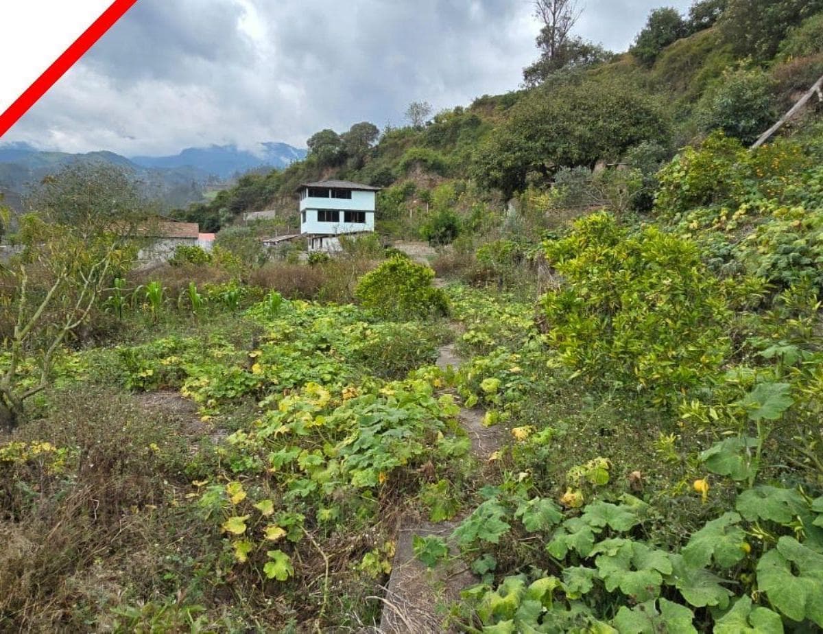 Terreno en venta en Patate, Tungurahua