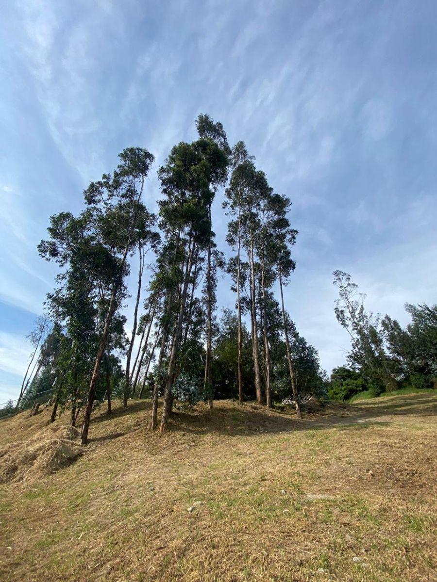 Terreno en venta en Quito, Pichincha