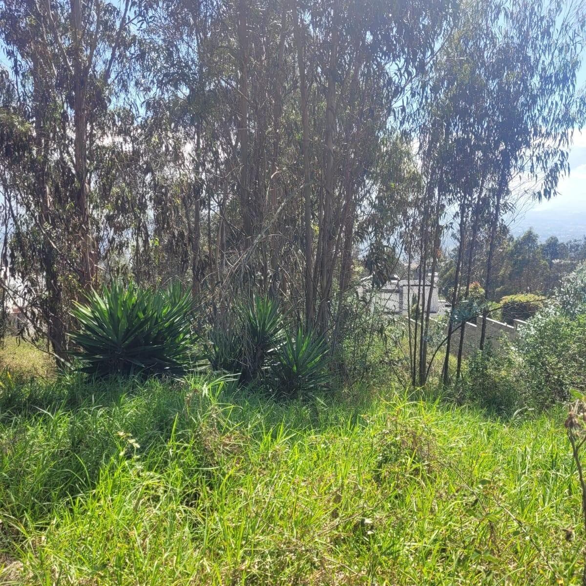 Terreno en venta en Quito, Pichincha
