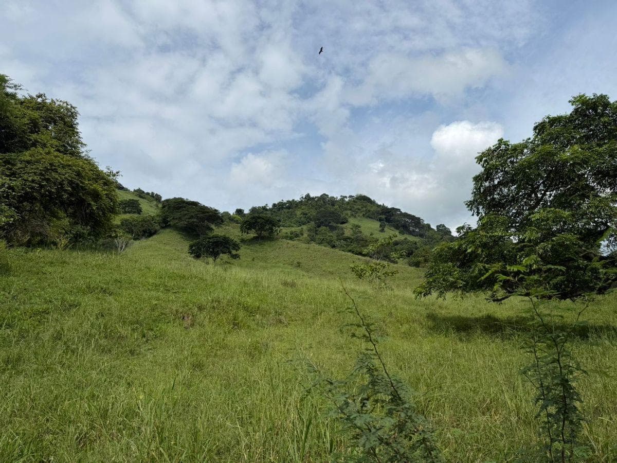 Terreno en venta en Santa Ana, Manabí