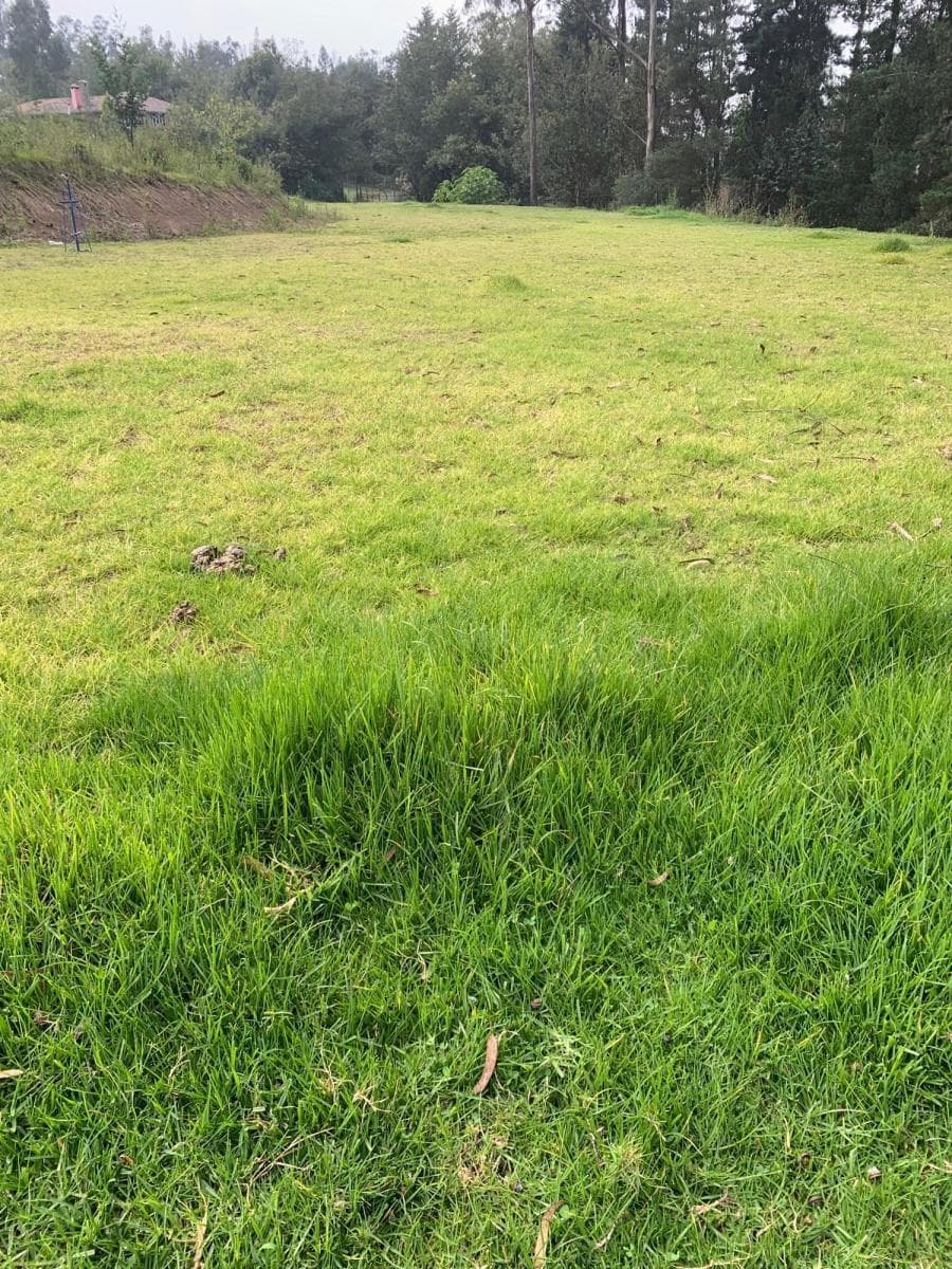 Terreno en venta en Quito, Pichincha