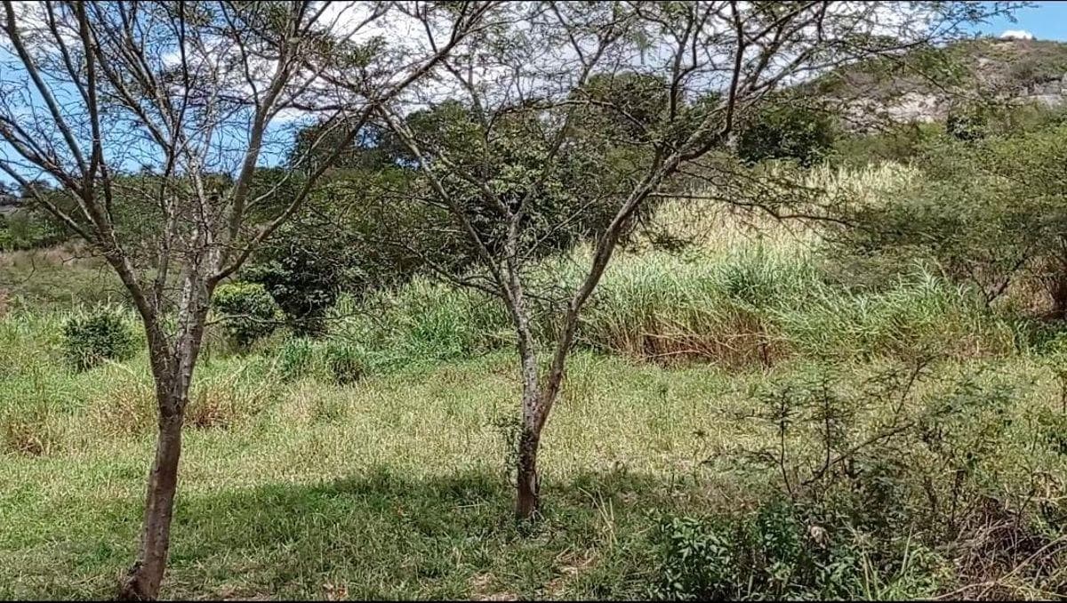 Terreno en venta en Santa Isabel, Azuay