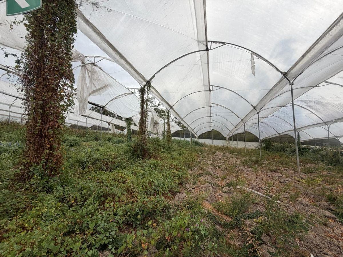 Terreno en venta en Antonio Ante, Imbabura