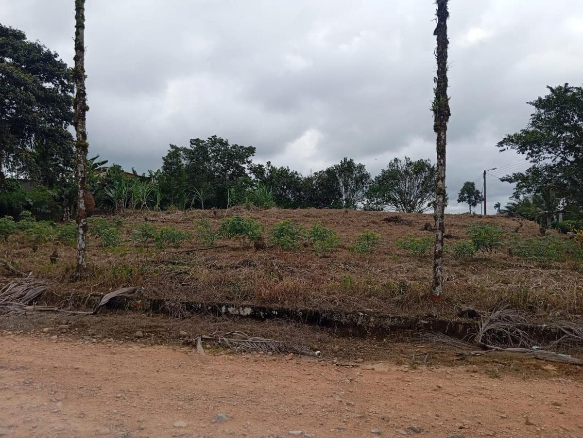 Terreno en venta en Pedro Vicente Maldonado, Pichincha