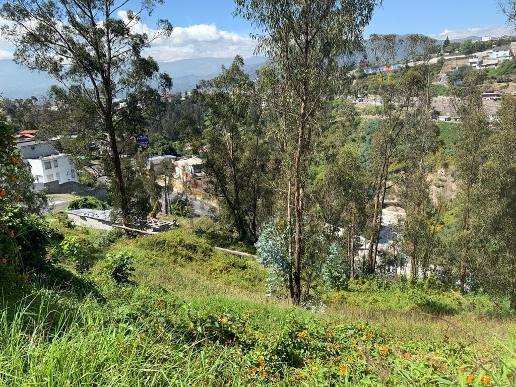 Terreno en venta en Quito, Pichincha