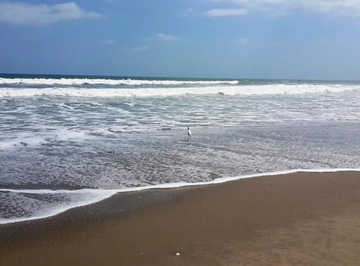 Terreno en venta en Playas, Guayas