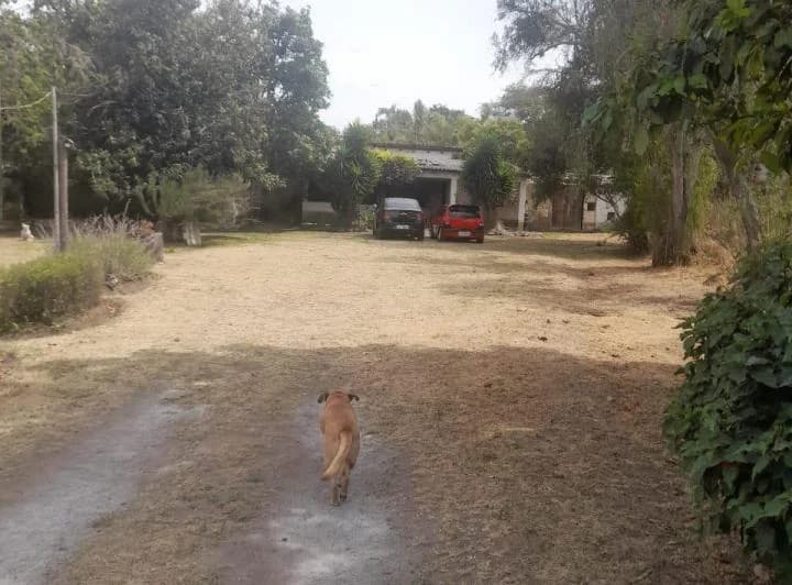 Terreno en venta en Quito, Pichincha