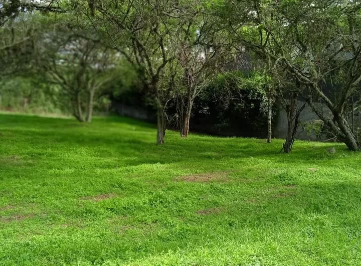 Terreno en venta en Quito, Pichincha
