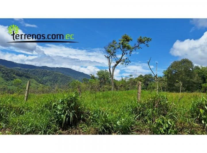 Terreno en venta en Mira, Carchi