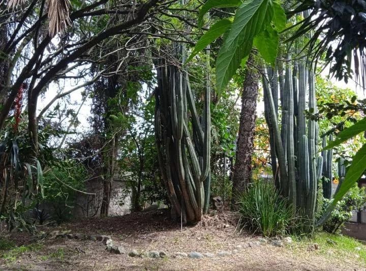 Terreno en venta en Quito, Pichincha