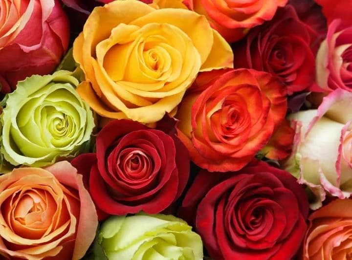 Terreno en venta en Tabacundo, Pichincha