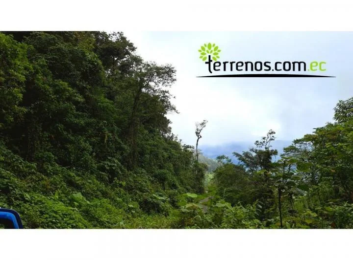 Terreno en venta en Mira, Carchi
