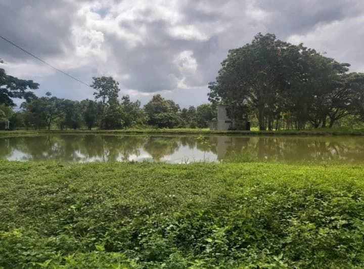 Terreno en venta en Guayaquil, Guayas