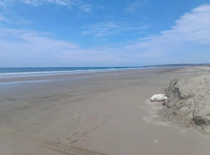 Terreno en venta en Santa Elena, Santa Elena