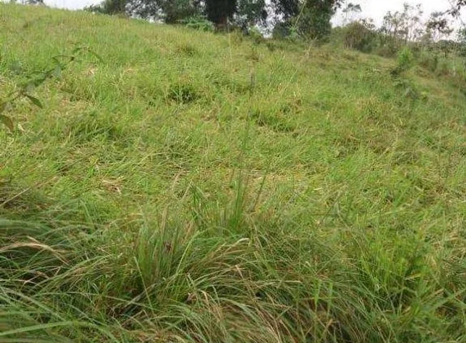 Terreno en venta en Santo Domingo, Santo Domingo de los Tsáchilas