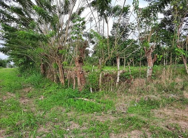 Terreno en venta en La Concordia, Santo Domingo de los Tsáchilas
