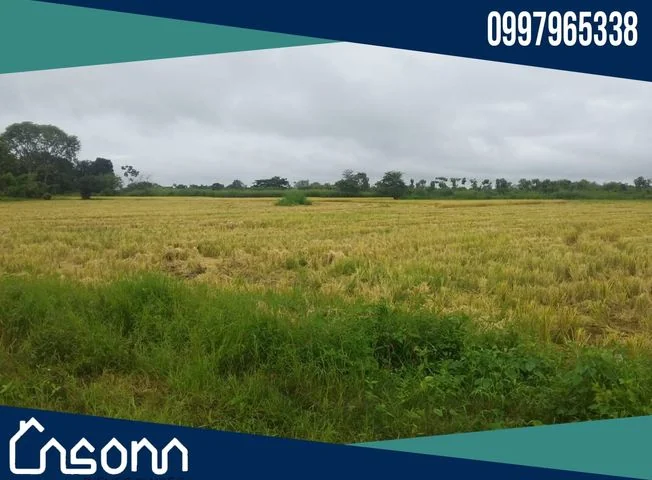Terreno en venta en Babahoyo, Los Ríos