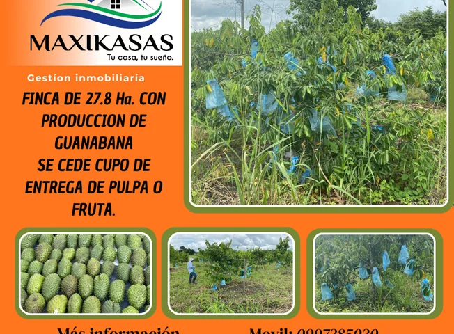 Terreno en venta en Pedro Carbo, Guayas