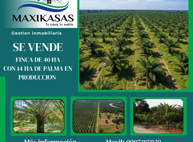 Terreno en venta en Lago Agrio, Sucumbíos