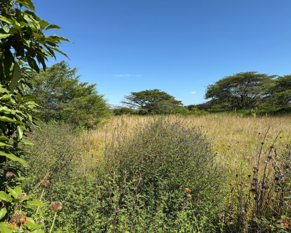 Terreno en venta en Quito, Pichincha