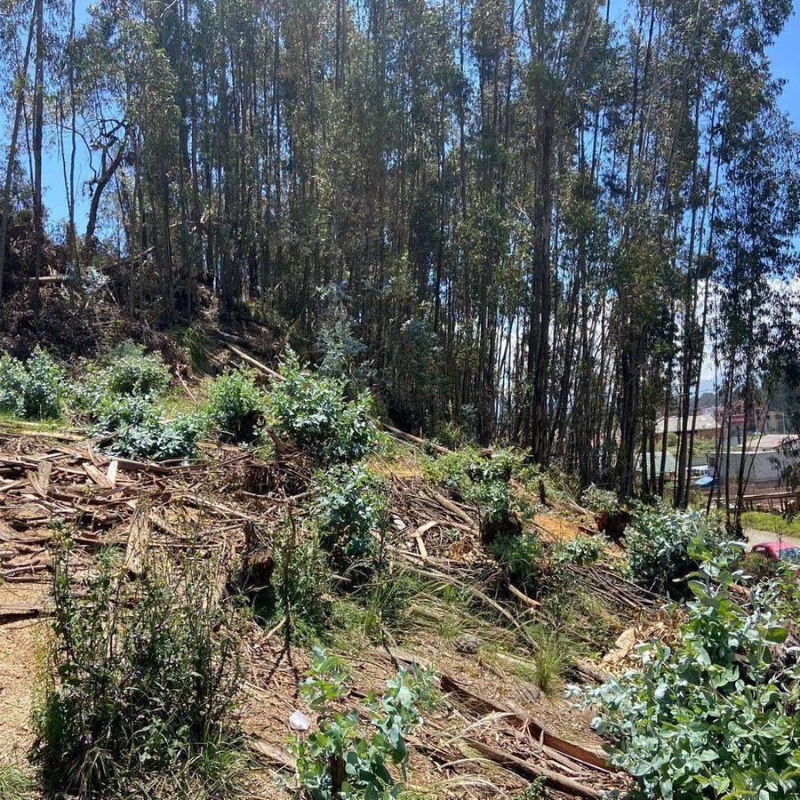 Terreno en venta en Cuenca, Azuay
