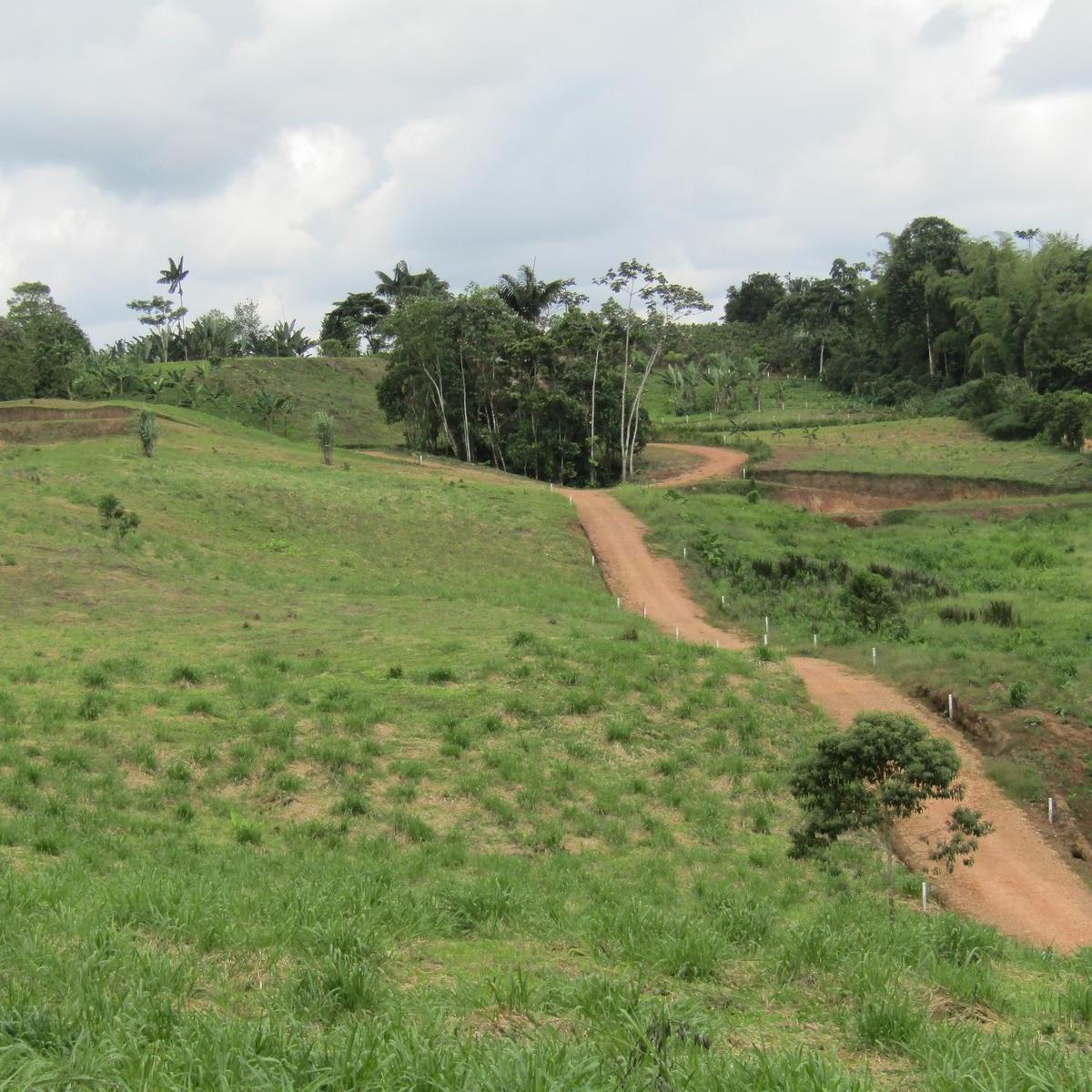 Terreno en venta en Pedro Vicente Maldonado, Pichincha