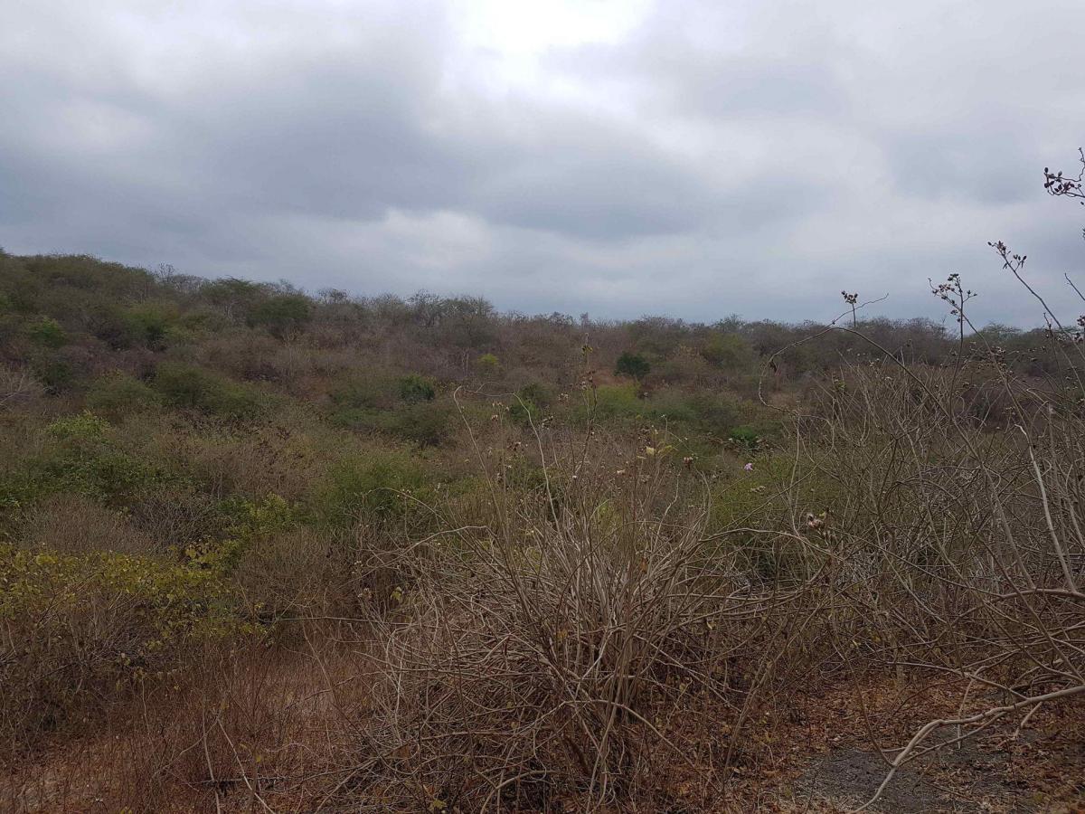 Terreno en venta en Portoviejo, Manabí