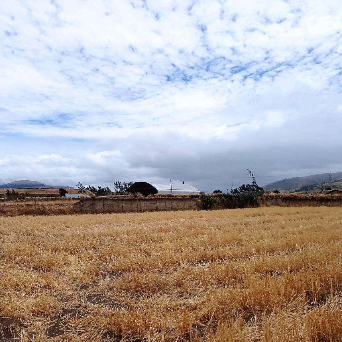 Terreno en venta en Cayambe, Pichincha