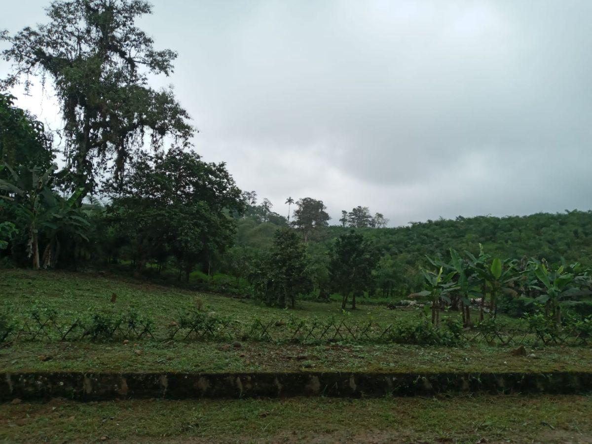 Terreno en venta en Pedro Vicente Maldonado, Pichincha