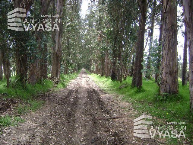 Terreno en venta en Quito, Pichincha