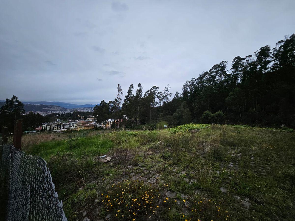 Terreno en venta en Quito, Pichincha