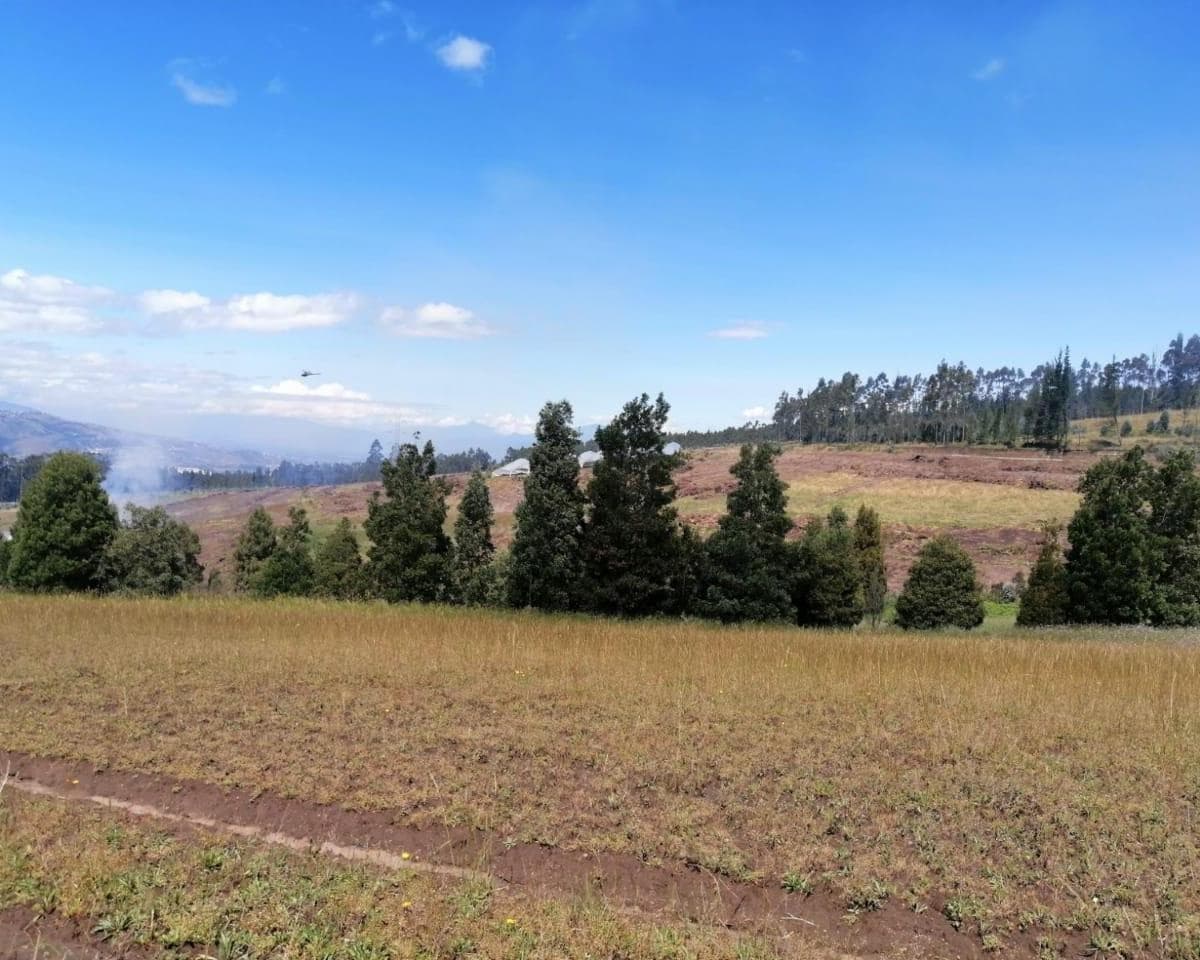 Propiedad en venta en Pedro Moncayo, Pichincha