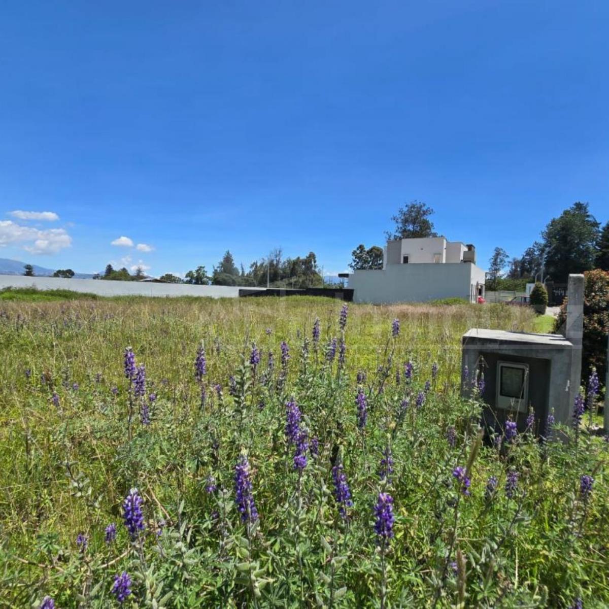 Terreno en venta en Quito, Pichincha
