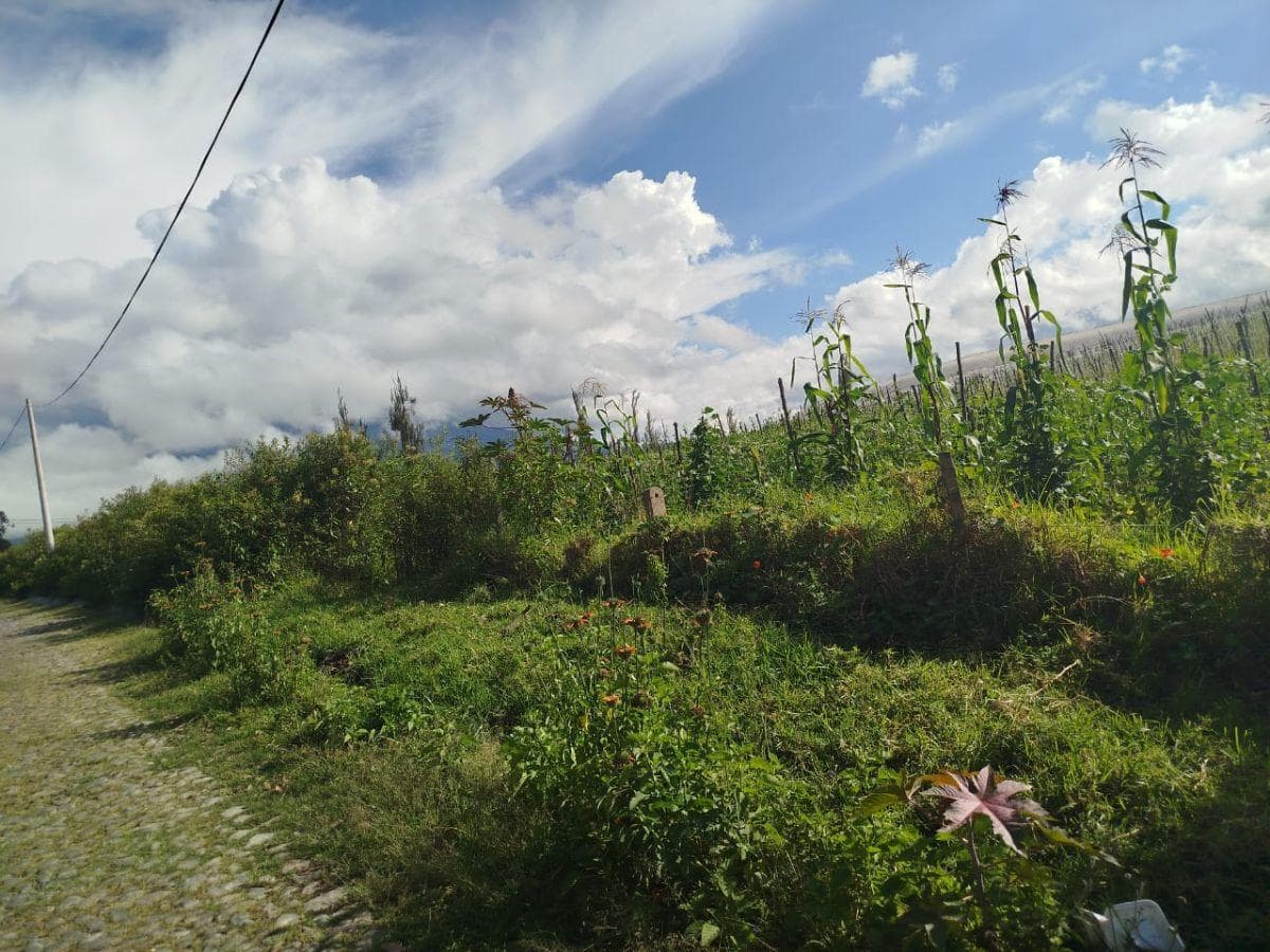 Propiedad en venta en Otavalo, Imbabura