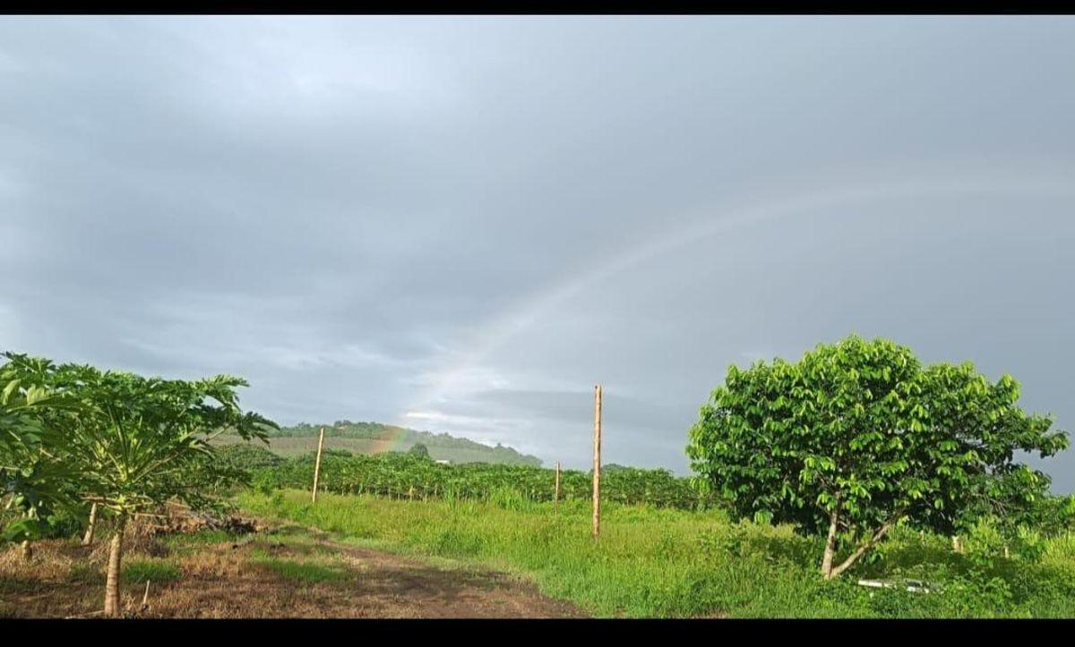 Terreno en venta en Jama, Manabí