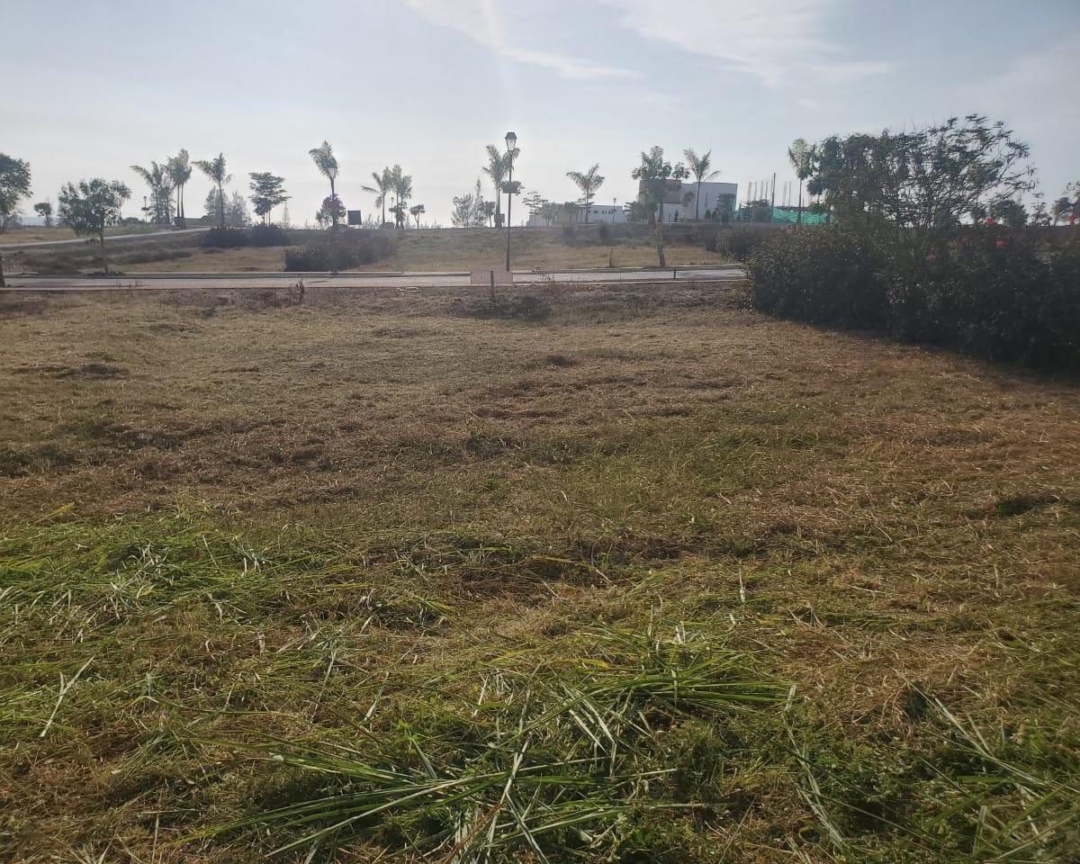 Terreno en venta en Santa Elena, Santa Elena